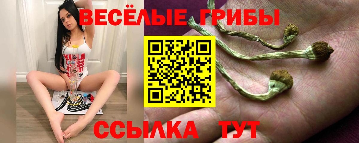 Галлюциногенные грибы Psilocybe Ликино-Дулёво